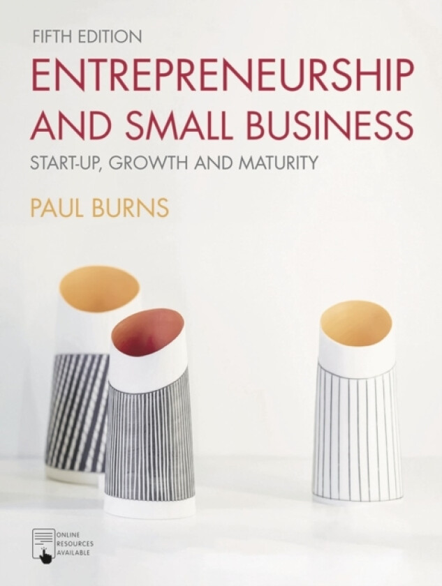 Entrepreneurship and Small Business av Paul Burns (Hardcover)