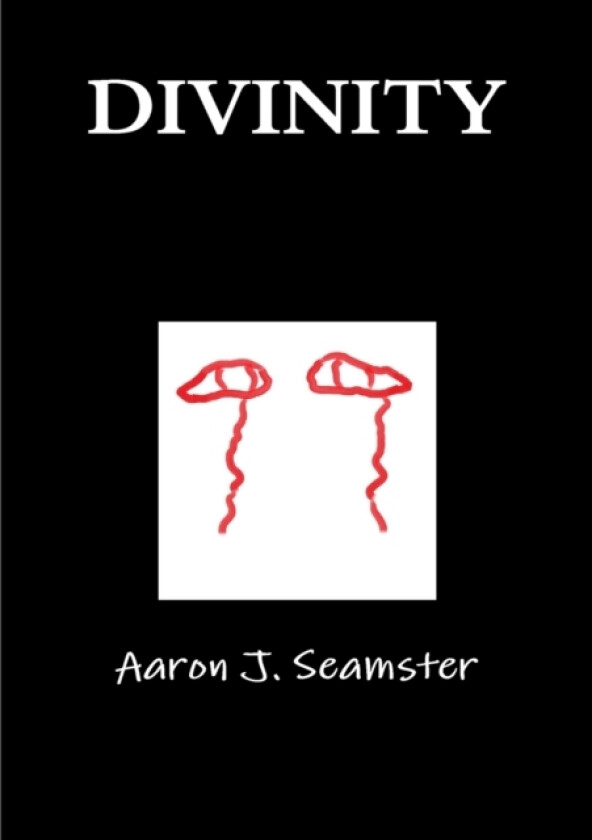 Divinity av Aaron Seamster (Paperback)
