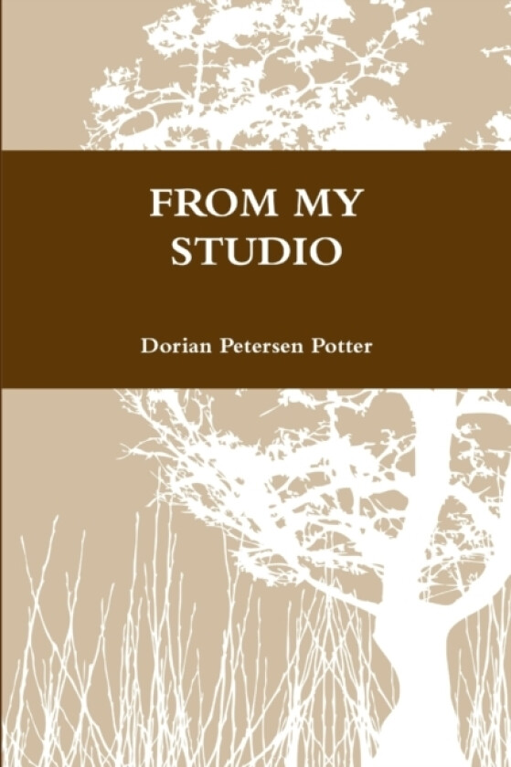 From My Studio av Dorian Petersen Potter (Paperback)