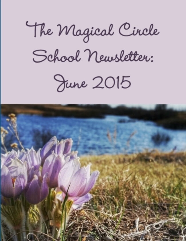 The Magical Circle School Newsletter av Colleen Criswell (Paperback)