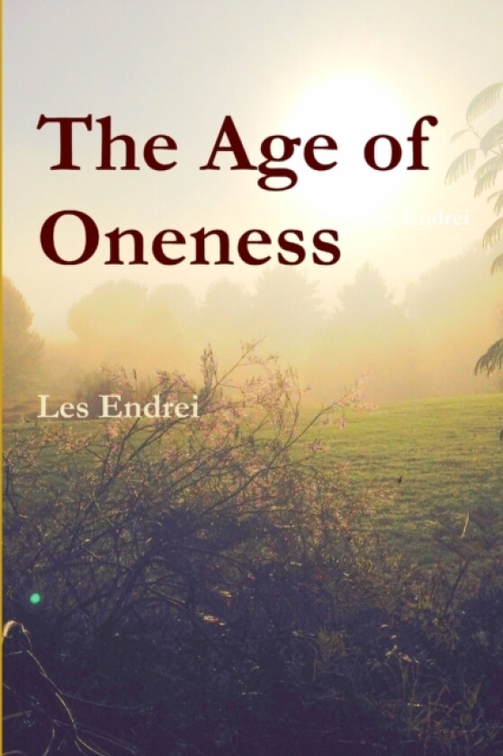 The Age of Oneness av Les Endrei (Paperback)