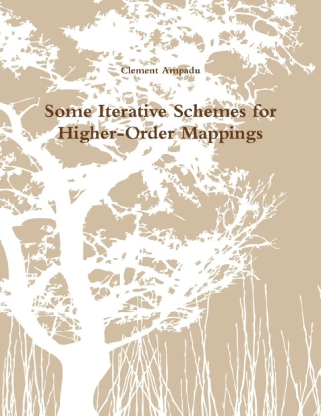 Some Iterative Schemes for Higher-Order Mappings av Clement Ampadu (Paperback)
