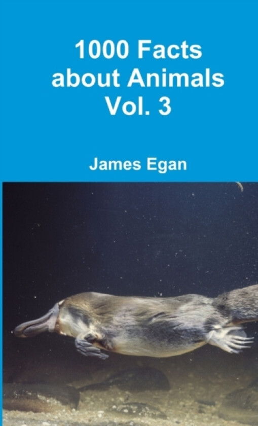 1000 Facts about Animals Vol. 3 av James Egan (Paperback)
