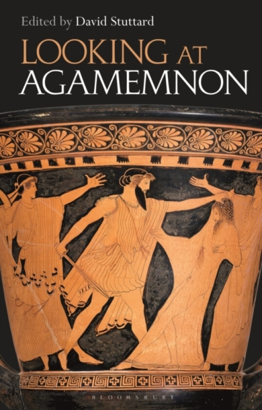 Looking at Agamemnon av David Stuttard (Hardcover)