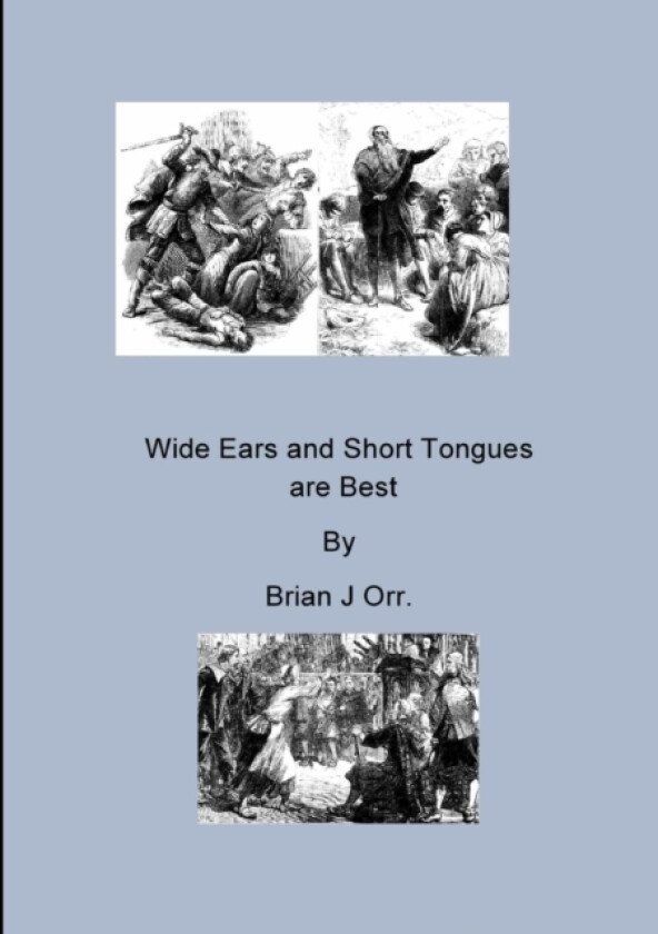 Wide Ears and Short Tongues are Best av Brian J Orr (Paperback)