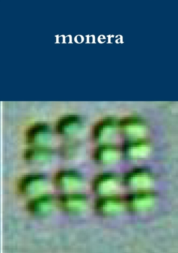 monera av John Martone (Paperback)