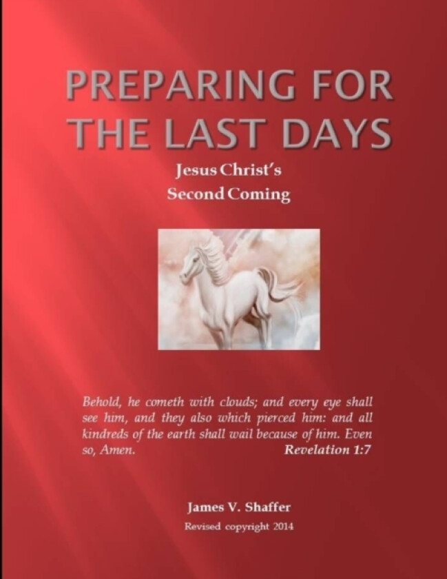 Preparing for The Last Days av James V Shaffer (Paperback)