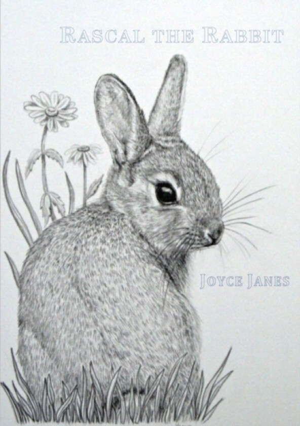 Rascal the Rabbit av Joyce Janes (Paperback)