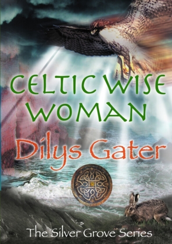Celtic Wise Woman av Dilys Gater (Paperback)