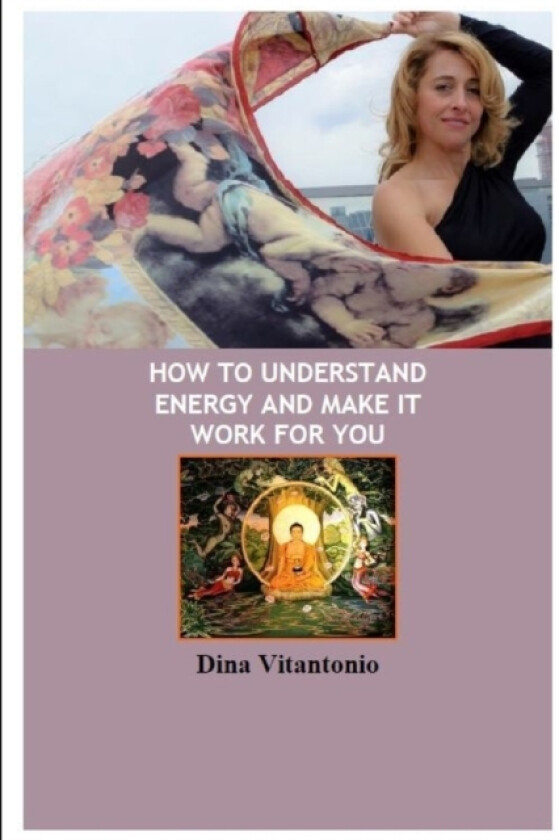 How to Understand Energy and Make it Work for You av Dina Vitantonio (Paperback)
