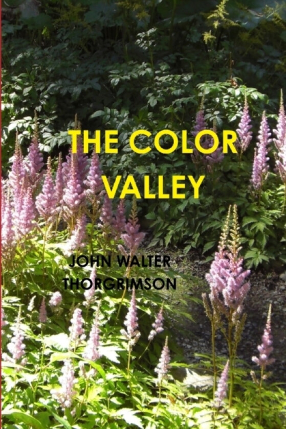 The Color Valley av John Walter Thorgrimson (Paperback)