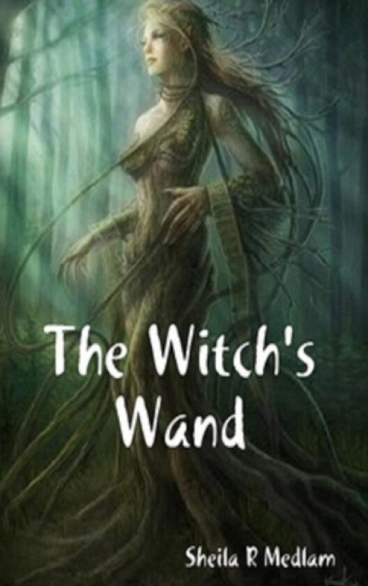 The Witch's Wand av Sheila R Medlam (Hardcover)