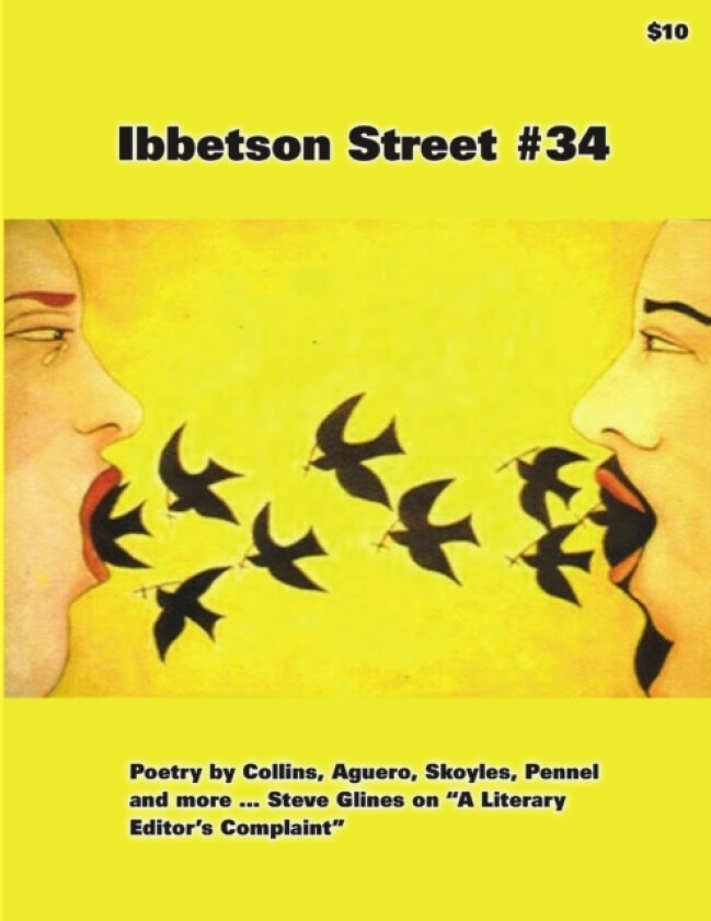 Ibbetson Street #34 av Doug Holder (Paperback)