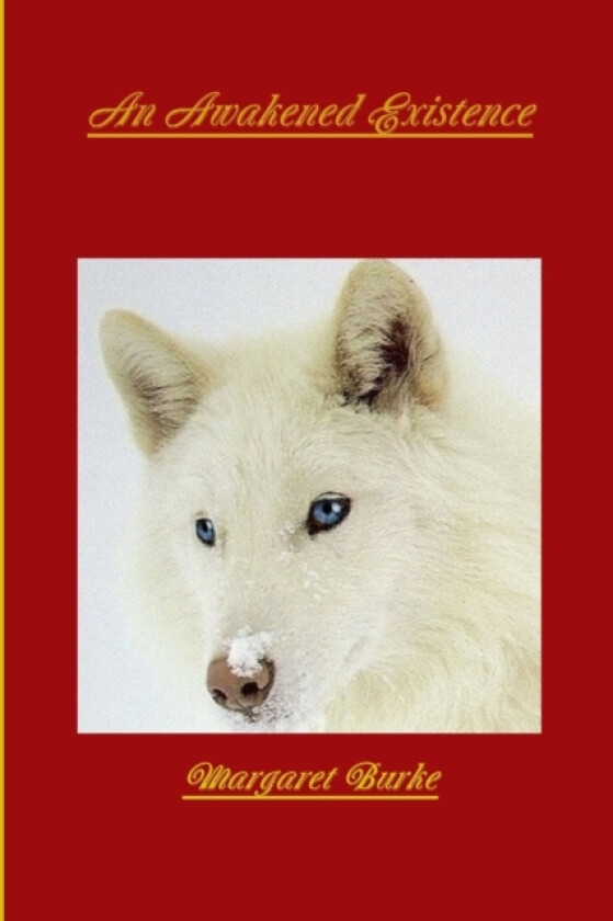 An Awakened Existence av Margaret Burke (Paperback)