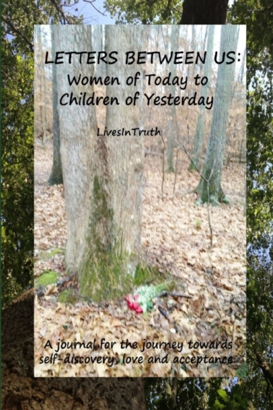 Letters Between Us: Women of Today to Children of Yesterday av LivesInTruth (Paperback)