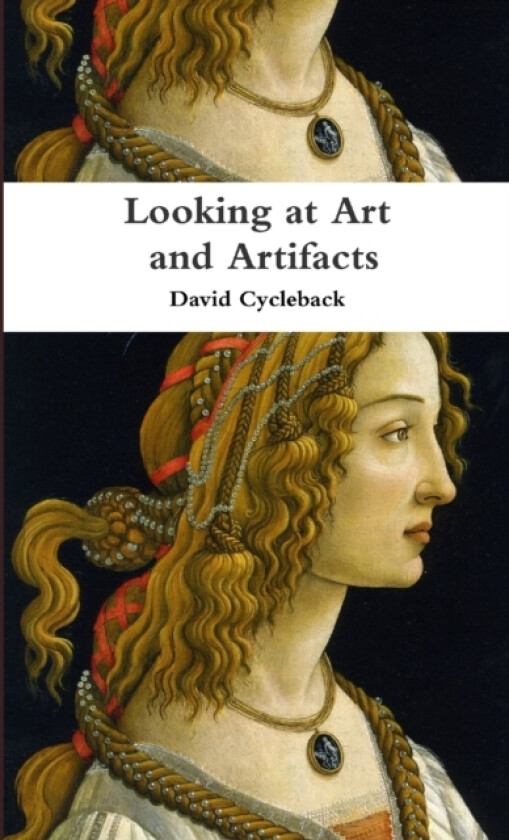Looking at Art and Artifacts av David Cycleback (Paperback)