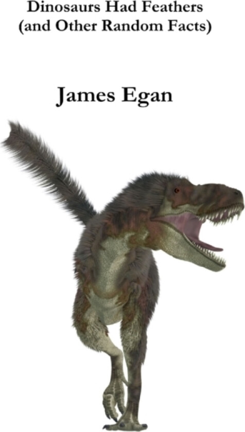 Dinosaurs had Feathers (and Other Random Facts) av James Egan (Paperback)