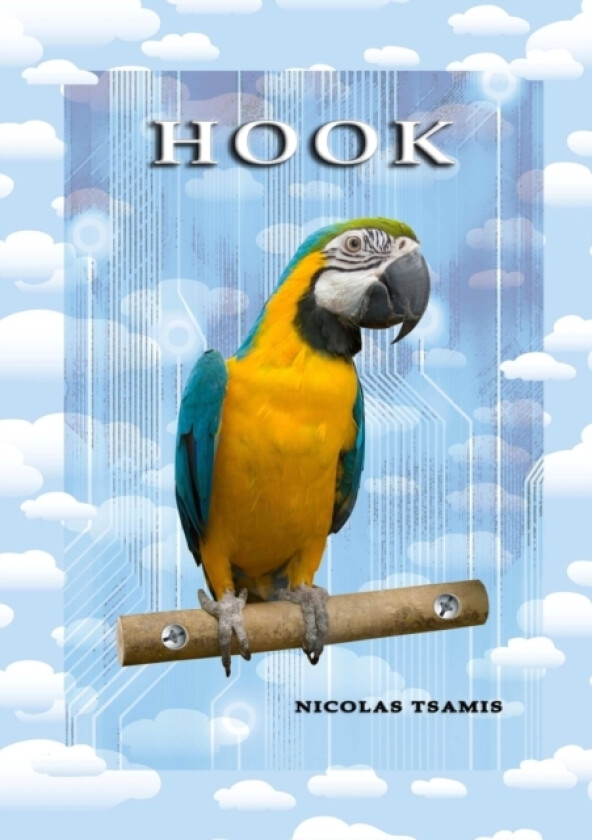 Hook av NICOLAS TSAMIS (Paperback)