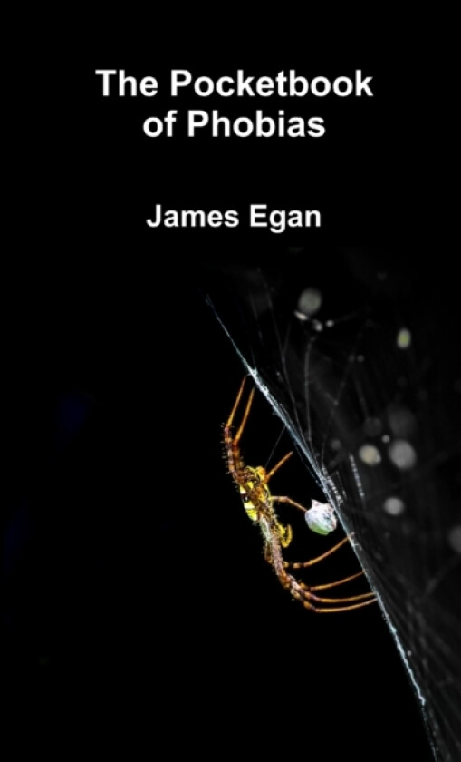 The Pocket Book of Phobias av James Egan (Paperback)