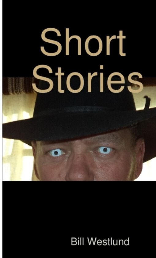 Short Stories av Bill Westlund (Paperback)