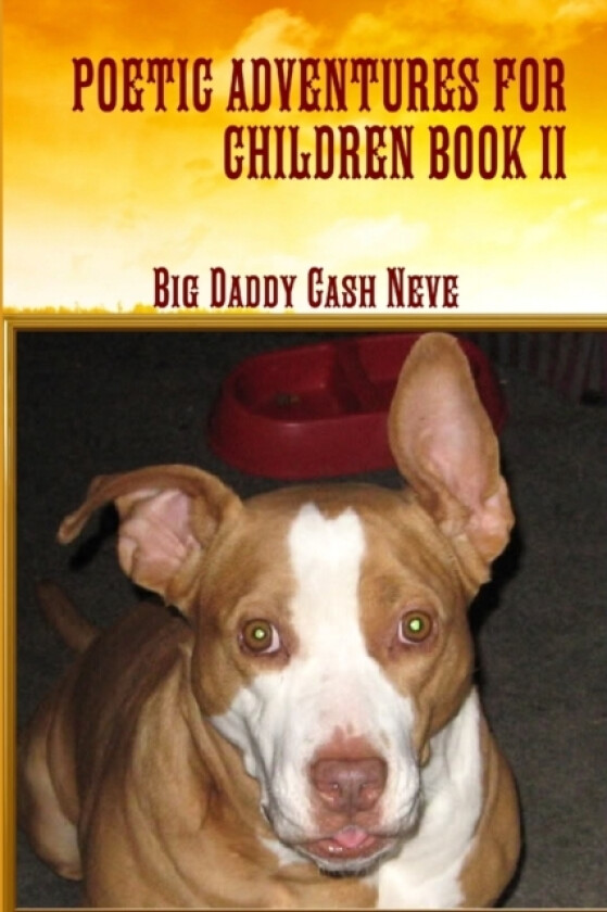 Poetic Adventures for Children Book II av Big Daddy Cash Neve (Paperback)