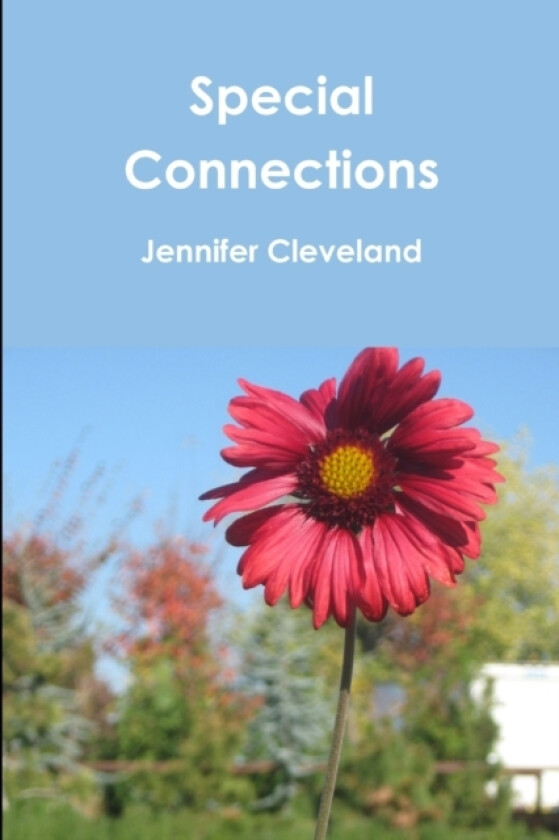 Special Connections av Jennifer Cleveland (Paperback)