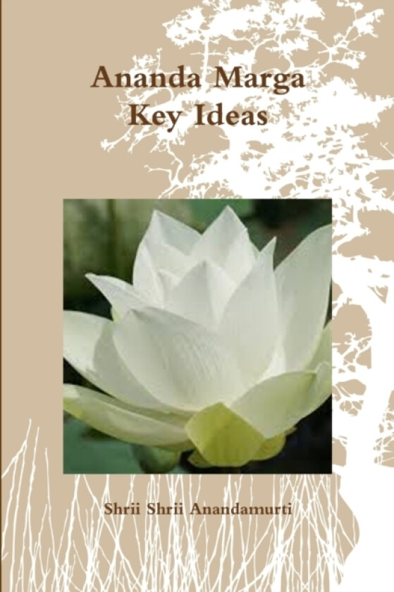 Ananda Marga Key Ideas av Shrii Shrii Anandamurti (Paperback)