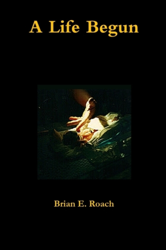 A Life Begun av Brian Roach (Paperback)