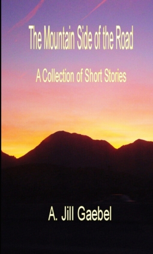 The Mountain Side of the Road av A.Jill Gaebel (Paperback)