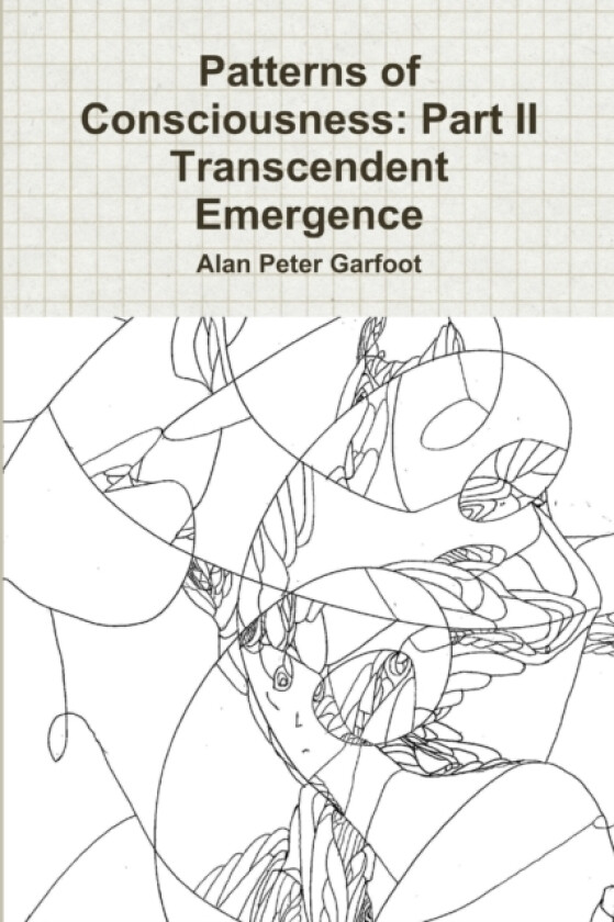 Patterns of Consciousness av Alan Peter Garfoot (Paperback)