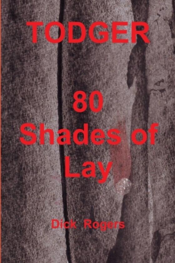 TODGER 80 Shades of Lay av Dick Rogers (Paperback)