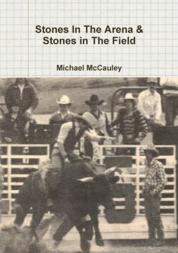 Stones In The Arena & Stones in The Field av Michael McCauley (Paperback)