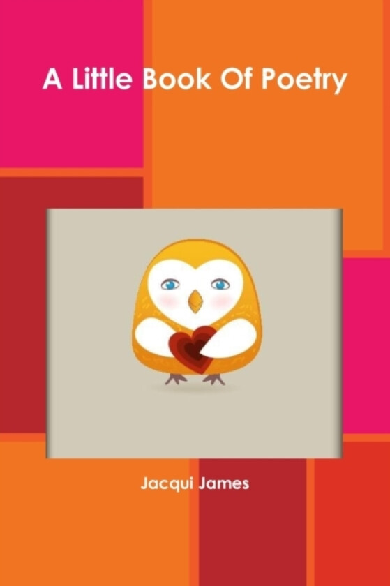 A Little Book Of Poetry av Jacqui James (Paperback)