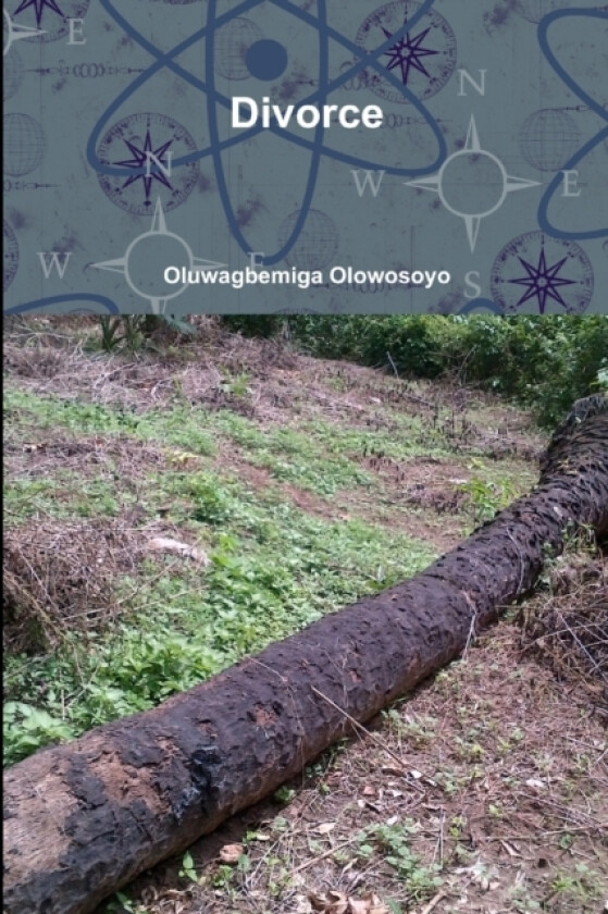 Divorce av Oluwagbemiga Olowosoyo (Paperback)