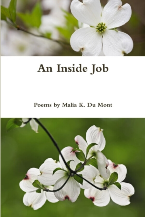An Inside Job av Malia K Du Mont (Paperback)