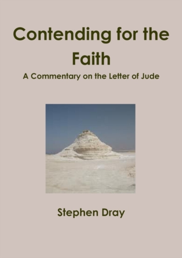 Contending for the Faith av Stephen Dray (Paperback)