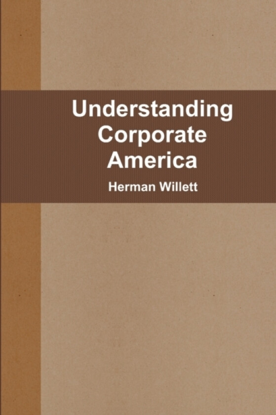 Understanding Corporate America av Herman Willett (Paperback)