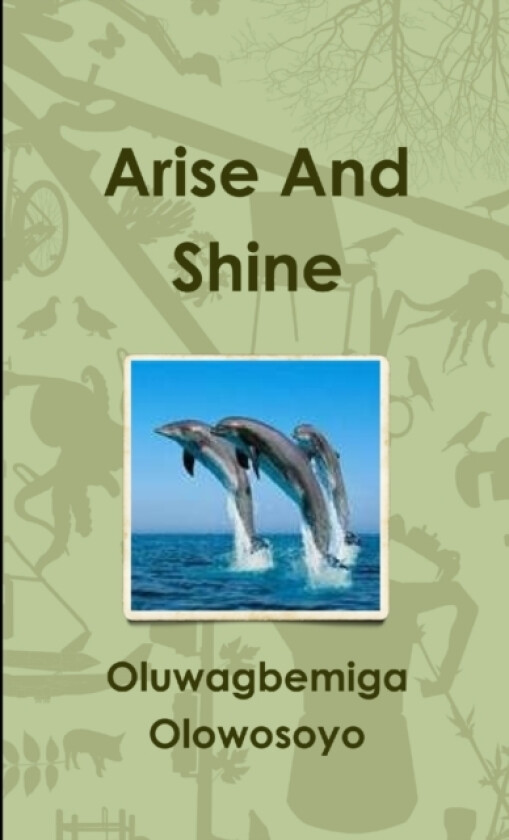 Arise And Shine av Oluwagbemiga Olowosoyo (Paperback)