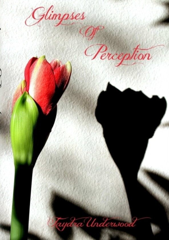Glimpses of Perception av Faydra Underwood (Paperback)