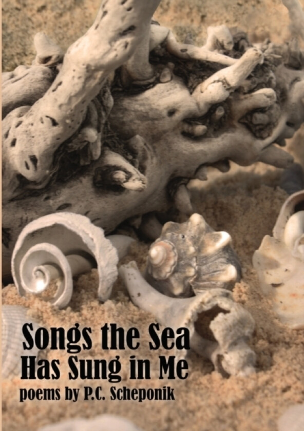 Songs the Sea Has Sung in Me av Peter Scheponik (Paperback)