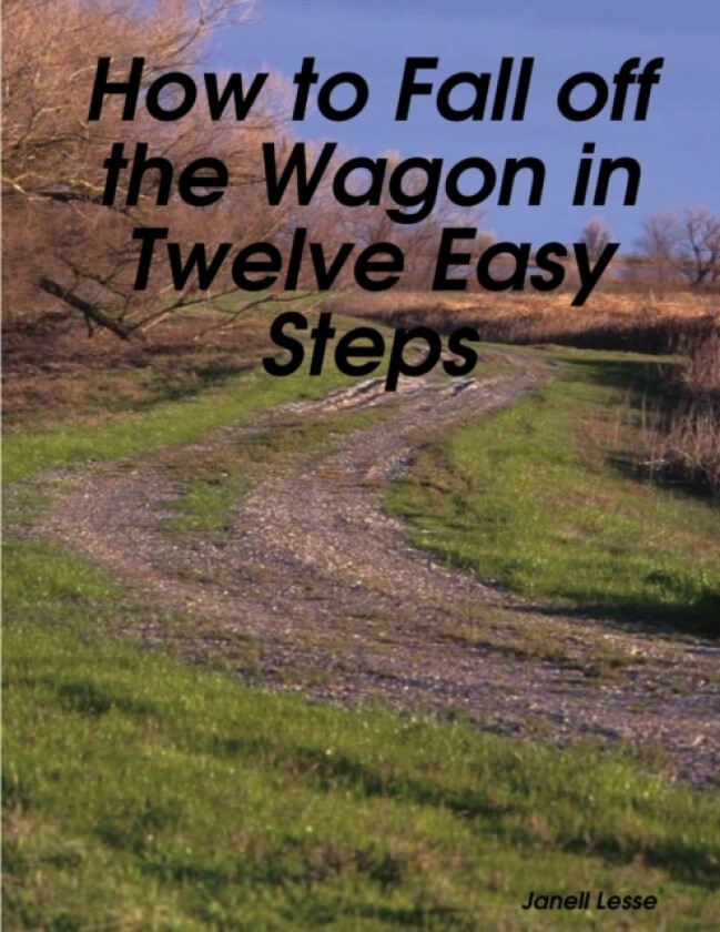 How to Fall Off the Wagon in Twelve Easy Steps av Janell Lesse (Paperback)