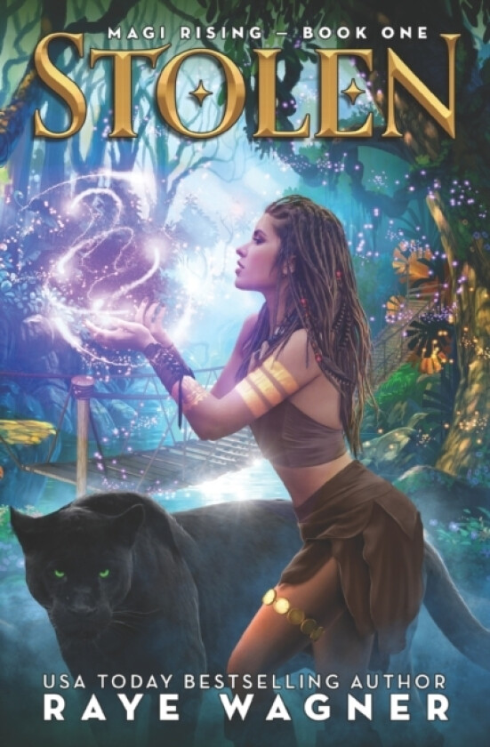 Stolen av Raye Wagner (Paperback)