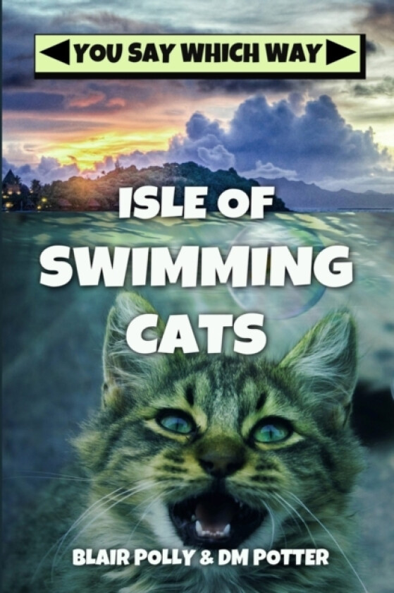 Isle of Swimming Cats av DM Potter, Blair Polly (Paperback)