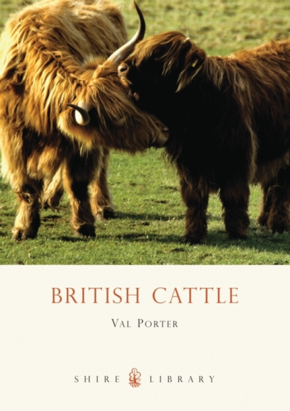 British Cattle av Val Porter (Paperback)