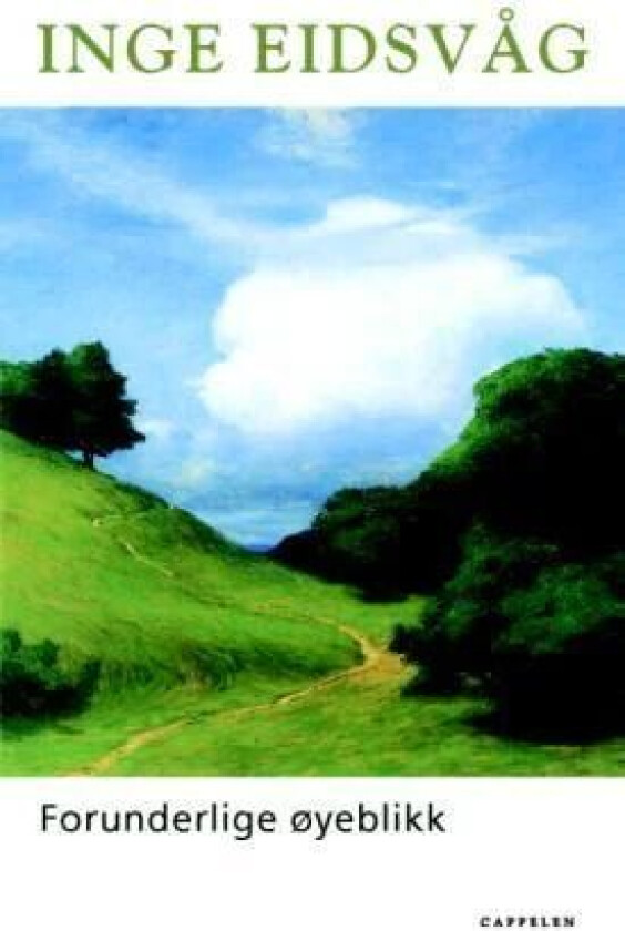 Forunderlige øyeblikk av Inge Eidsvåg
