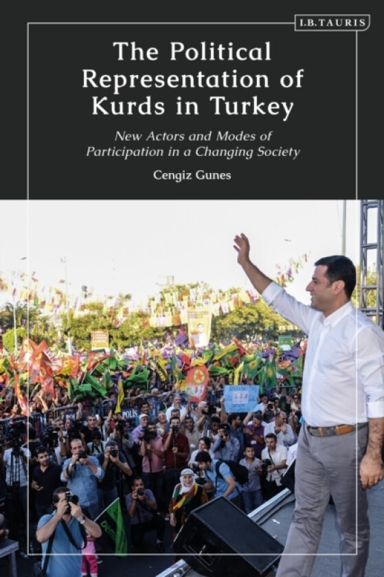 The Political Representation of Kurds in Turkey av Cengiz Gunes (Paperback)
