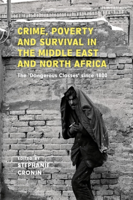 Crime, Poverty and Survival in the Middle East and North Africa av Stephanie Cronin (Paperback)