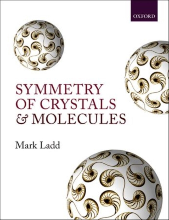 Symmetry of Crystals and Molecules av Mark Ladd (Hardcover)