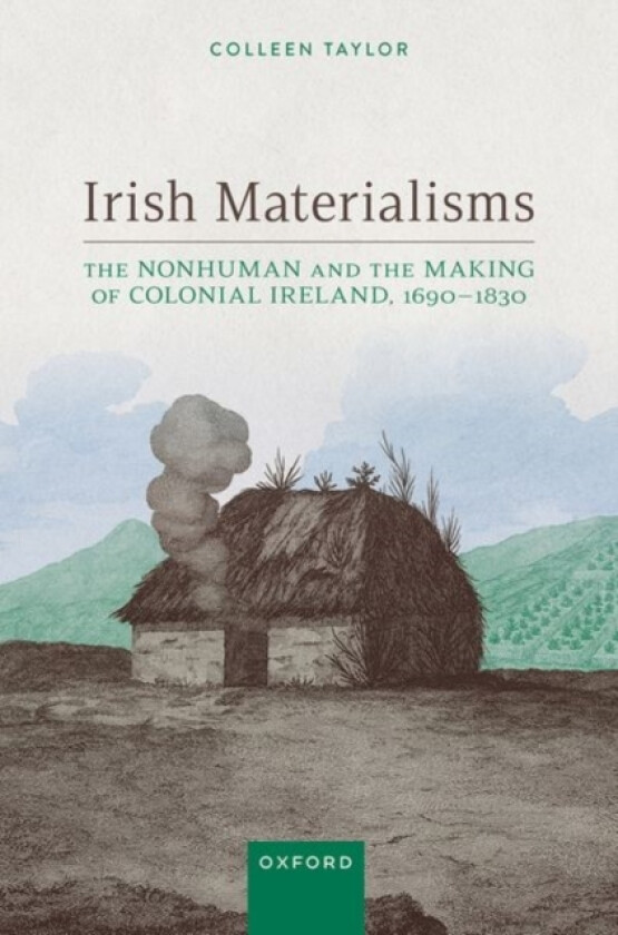 Irish Materialisms av Colleen Taylor (Hardcover)