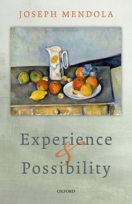 Experience and Possibility av Joseph Mendola (Hardcover)